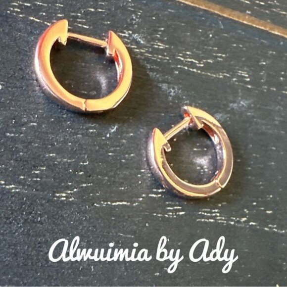 Alquimia Gold Hoop Earrings - Picture 1 of 1